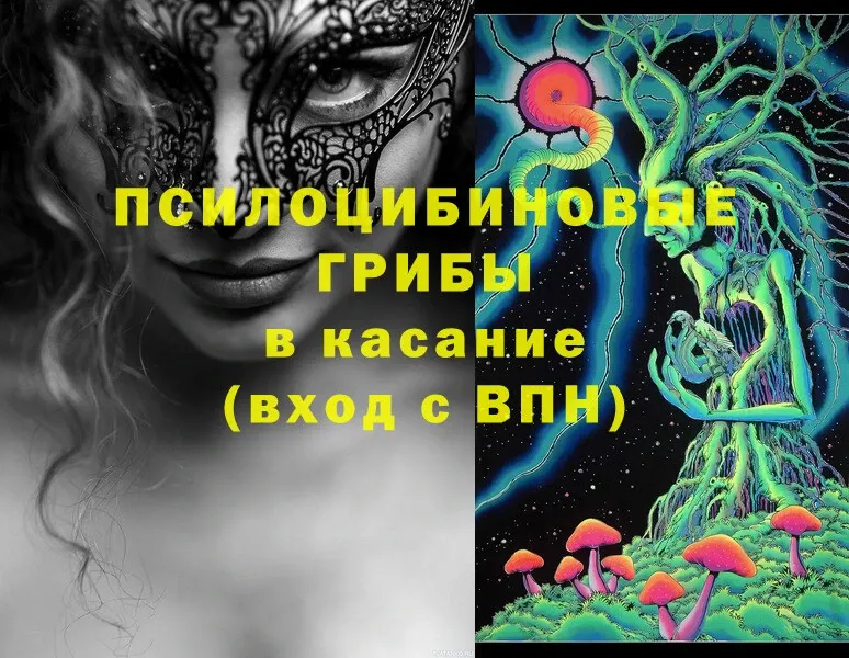 Галлюциногенные грибы Cubensis  OMG ссылки  Нарьян-Мар  как найти  